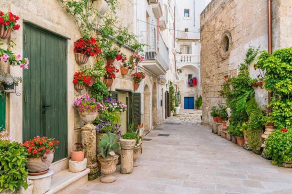 Il Mare In Citta. Appartamento Vista Mare Monopoli Ngoại thất bức ảnh